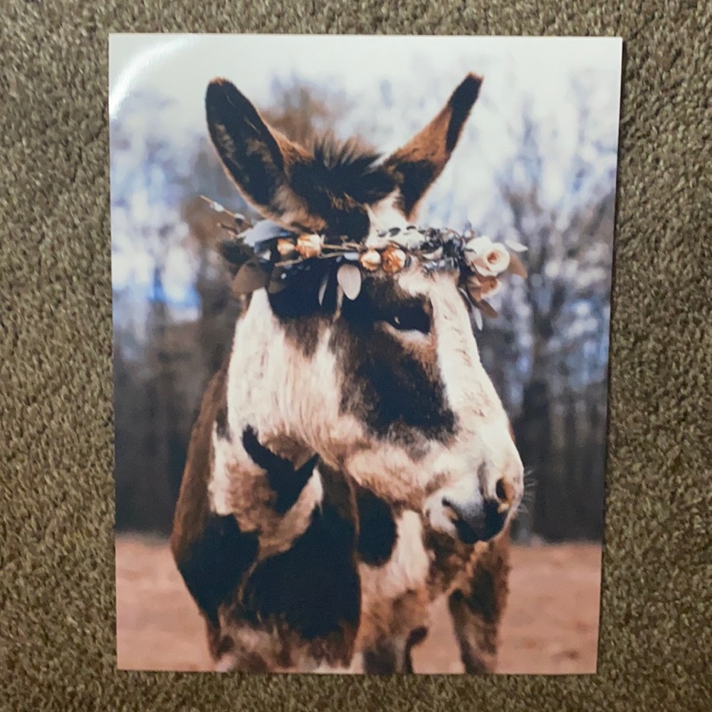 Art Print- Donkey Spotted- Flowers on head. 8.5x11 inches